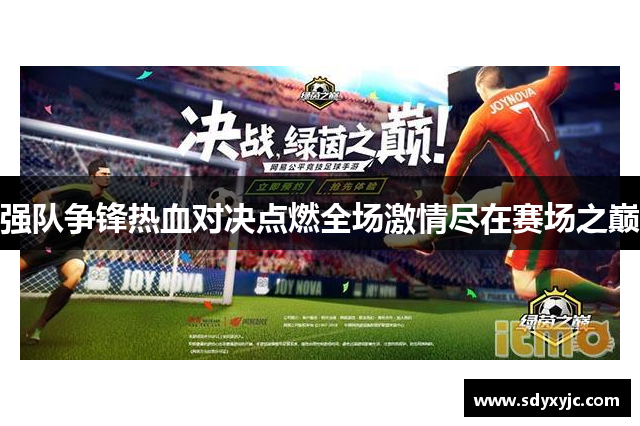 强队争锋热血对决点燃全场激情尽在赛场之巅
