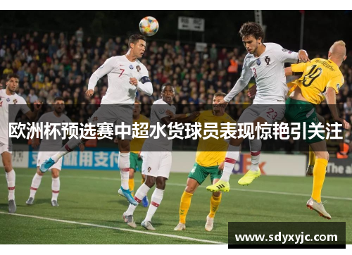 欧洲杯预选赛中超水货球员表现惊艳引关注