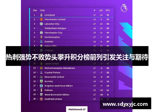 热刺强势不败势头攀升积分榜前列引发关注与期待