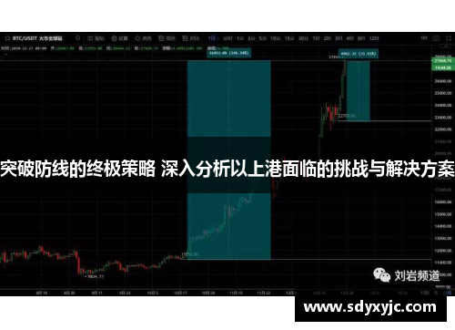 突破防线的终极策略 深入分析以上港面临的挑战与解决方案