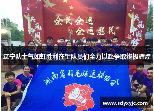 辽宁队士气如虹胜利在望队员们全力以赴争取终极辉煌