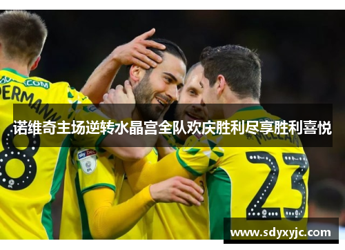 诺维奇主场逆转水晶宫全队欢庆胜利尽享胜利喜悦
