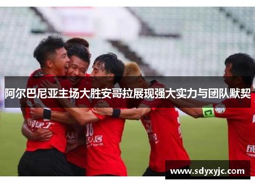 阿尔巴尼亚主场大胜安哥拉展现强大实力与团队默契