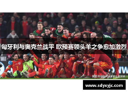 匈牙利与奥克兰战平 欧预赛领头羊之争愈加激烈