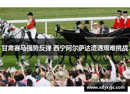 甘肃赛马强势反弹 西宁阿尔萨达遭遇艰难挑战