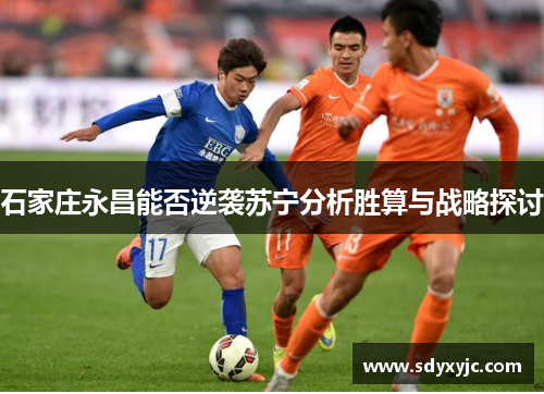 石家庄永昌能否逆袭苏宁分析胜算与战略探讨