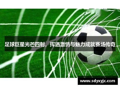足球巨星光芒四射，挥洒激情与魅力成就赛场传奇