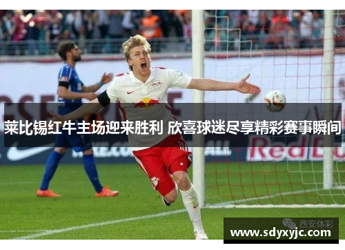 莱比锡红牛主场迎来胜利 欣喜球迷尽享精彩赛事瞬间