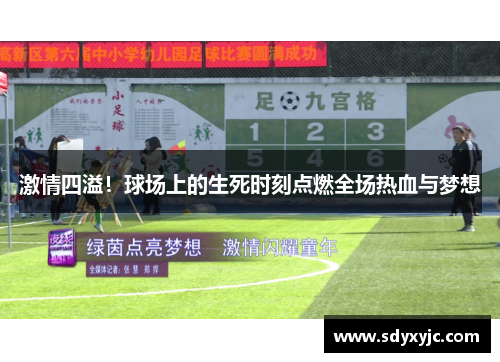激情四溢！球场上的生死时刻点燃全场热血与梦想