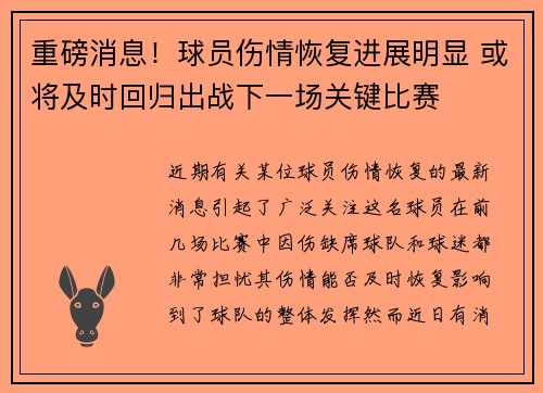 重磅消息！球员伤情恢复进展明显 或将及时回归出战下一场关键比赛