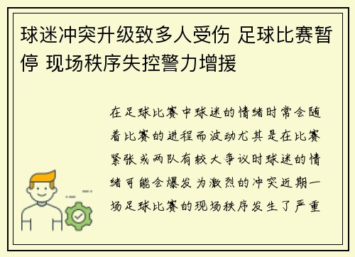 球迷冲突升级致多人受伤 足球比赛暂停 现场秩序失控警力增援